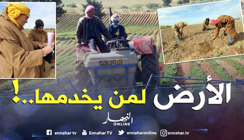 أراضي “البايلك” لمن يرغب في الفلاحة قبل نهاية العام!