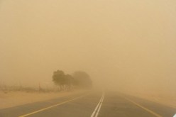 نشرية خاصة تعلن عن رياح قوية في ولايات الجنوب