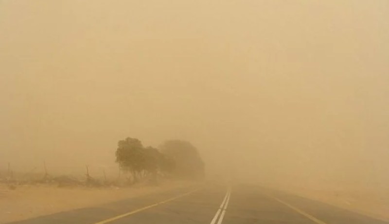 نشرية خاصة تعلن عن رياح قوية في ولايات الجنوب