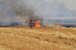 حريقان يتلفان أكثر من 2000 حزمة تبن في غليزان