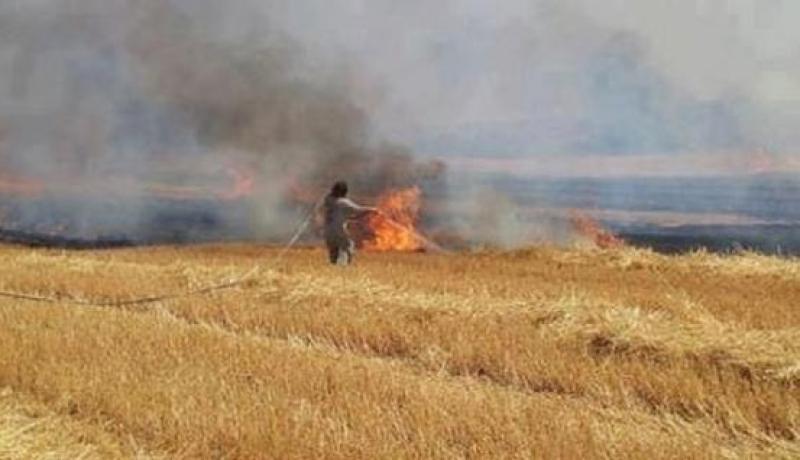 حريقان يتلفان أكثر من 2000 حزمة تبن في غليزان