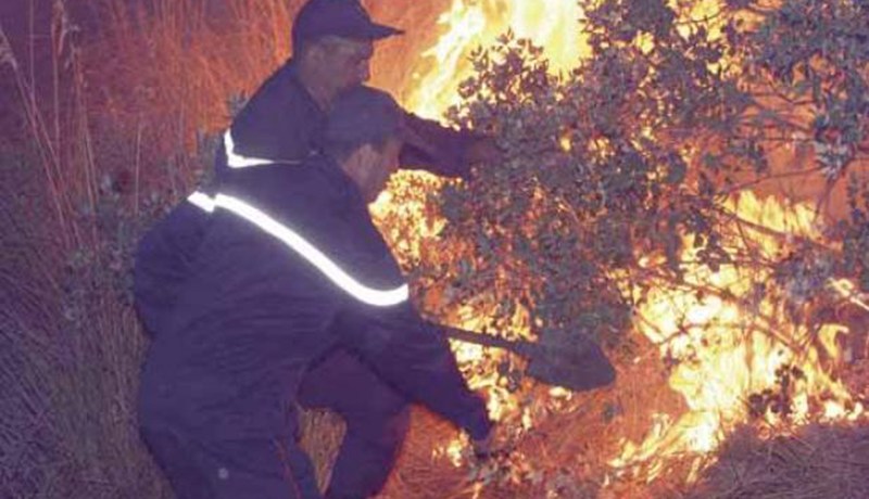 احتراق 1120 شجرة مثمرة وحزمة تبن بتيزي وزو