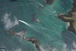 الكشف عن مخلوق بحري عملاق عن طريق خرائط غوغل