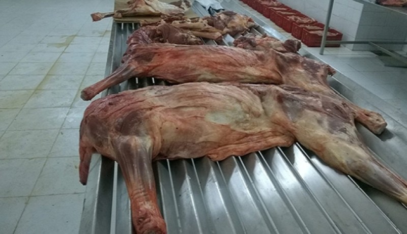 حجز 200 كلغ من اللحوم الحمراء تم ذبحها بطريقة غير شرعية في سوق أهراس