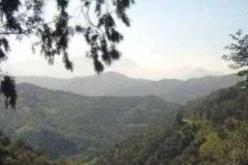 تفكيك قنبلتين بغابة بوناب في‮ ‬تيزي‮ ‬وزو‮ ‬