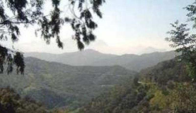 تفكيك قنبلتين بغابة بوناب في‮ ‬تيزي‮ ‬وزو‮ ‬