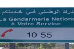 الدرك يضع رقم أخضر وموقع إلكتروني تحت تصرف المواطنين للتبليغ عن الجرائم الإلكترونية