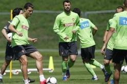 كأس أوروبا 2012: شجار في تمرين البرتغال