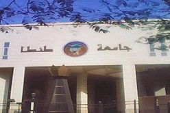 مشاركة 25 شاعرا من 8 دول عربية في مهرجان شعري بمصر