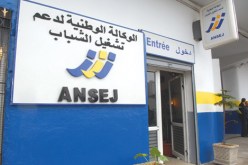 نحو اعتماد طريقة التسجيل المباشر عبر الإنترنت للشباب الراغبين في الحصول على دعم من جهاز “أنساج”