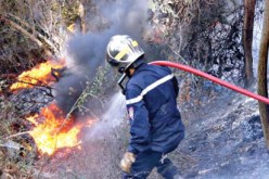 إتلاف 80 هكتارا من الغابات بمنطقة قنزات في سطيف  جراء الحرائق