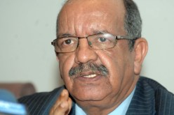 تقارب المواقف بين الجزائر و رومانيا حول المسائل الدولية