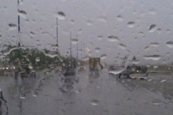 أمطار رعدية محلية معتبرة تمس شرق البلاد