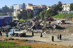 حشرات ضارة تخلق الرعب في بلدية القبة