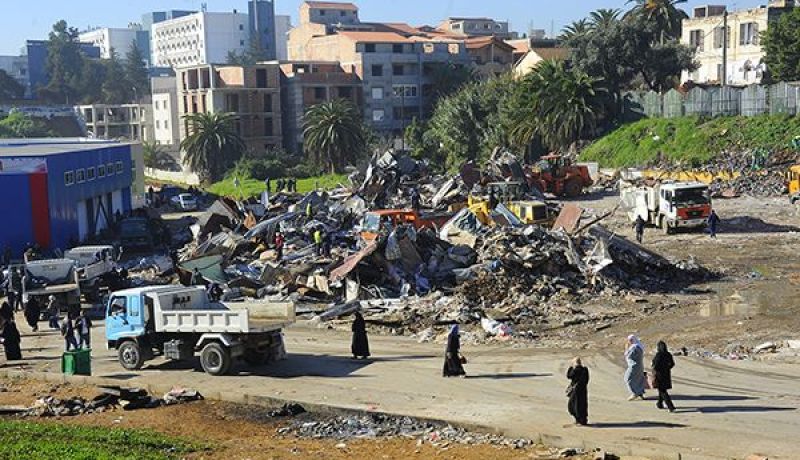 حشرات ضارة تخلق الرعب في بلدية القبة