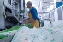 2 “شكاير” لكل عائلة.. ورفع دعم الدولة عن الحليب!