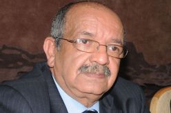 مساهل: “كل محاولات المغرب لتكسير الإتحاد الإفريقي ستفشل”