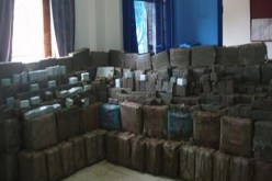 حجز أكثر من 8 قناطير من الكيف المعالج في تلمسان