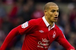 لم أكن سعيدا هذا الموسم في واتفورد ولا أريد تكرار نفس السيناريو الموسم المقبل