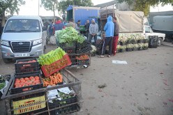 استقرار الاسعار في رمضان بسوق الجملة للخضر والفواكه بالكاليتوس