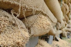 احباط تهريب 351 قنطار من القمح اللين المدعم بوادي تيلات في وهران