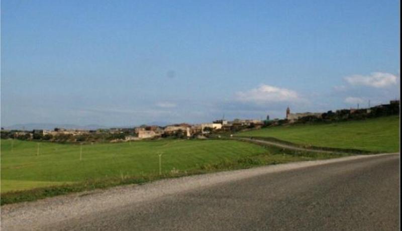 أويحيى: 20 هكتار من أراضي العروش في صحراء خنشلة ستدخل الإنتاج