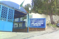 إستحداث سجل وطني للتكفل بتشوهات القلب الجينية عند الأطفال