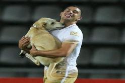 بالفيديو.. كلب يقتحم مباراة في الدوري الأرجنتيني