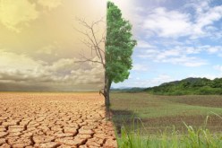 دراسة: التشجير يحد من الإحتباس الحراري