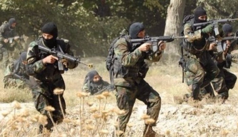 تفكيك شبكة إرهابية في بنزرت التونسية