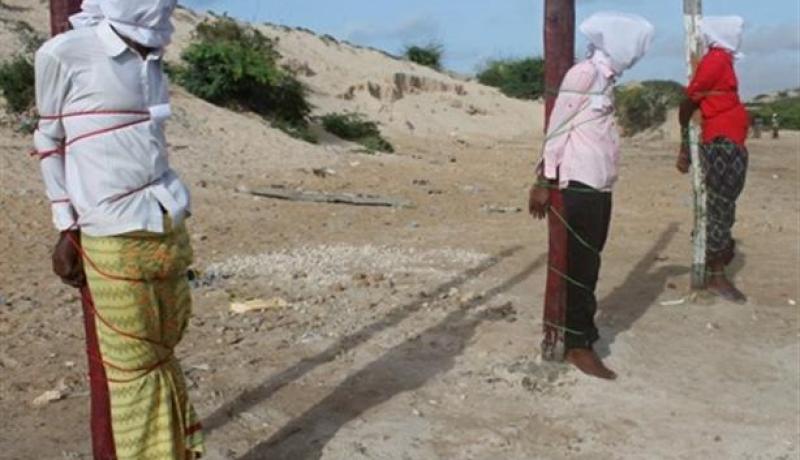 طالبان تعدم 7 أشخاص غربي أفغانستان