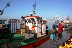 وضع مخطط استعجالي لتجهيز موانئ وملاجئ الصيد البحري بالعاصمة في 2016