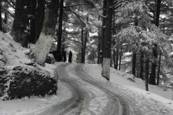 الثلوج تتسبب في صعوبة حركة السير شمال سطيف