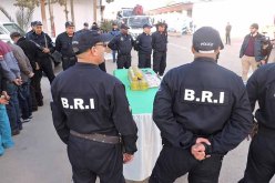 تفكيك شبكة لترويج المخدرات في تيبازة