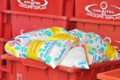 إنتاج 4.2 مليون لتر يوميا من الحليب.. والسوق سيعرف إستقرارا هذا الأسبوع