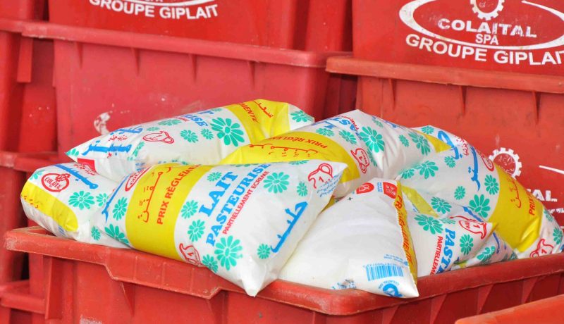 إنتاج 4.2 مليون لتر يوميا من الحليب.. والسوق سيعرف إستقرارا هذا الأسبوع