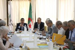 محمد غوثي رئيسا جديدا للجنة الفيديرالية للتحكيم  