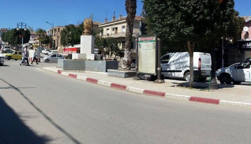 حادثة انتحار مروعة بقالمة