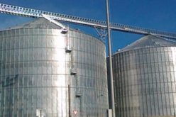 سقوط عامل من صومعة معدنية لتخزين الحبوب في معسكر