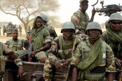 الجيش النيجيري يقضي على 23 إرهابيا في بحيرة تشاد