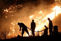 جورجيا تستغيث دول العالم لوقف زحف الحرائق