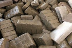  بارونا مخدرات يهربان من السجن على طريقة الأفلام في الرمشي بتلمسان 