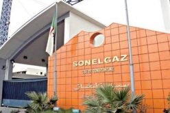 شراكة بين سونلغاز وشركة روسية لإنجاز مشروع في السودان