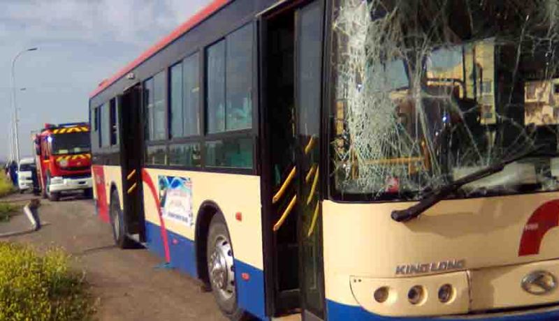 إصابة 9 أشخاص إثر حادث تصادم حافلتين في تيزي وزو