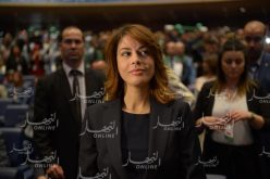 فرعون تشارك في أشغال المنتدى الإفريقي-الأوروبي  في النمسا