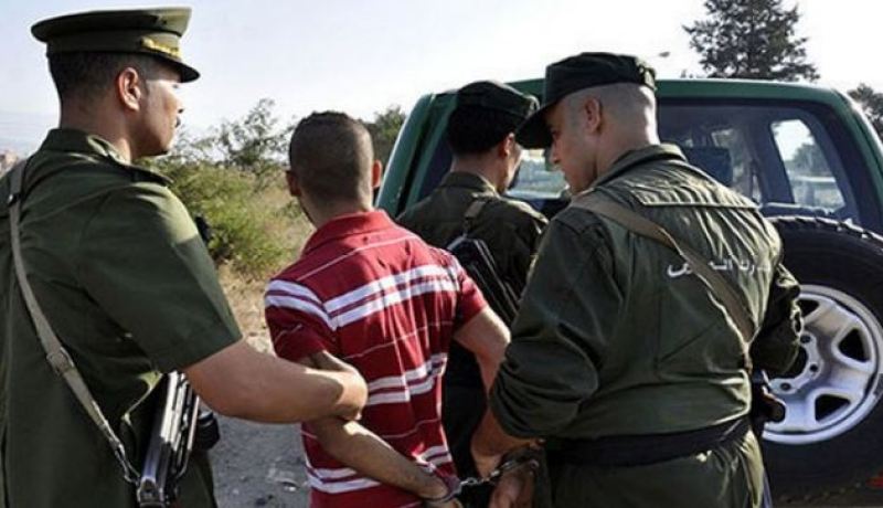توقيف 3 أشخاص وحجز 458  قنطار من القمح اللين بتيارت