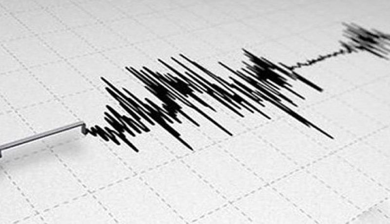 هزة أرضية بقوة 3.6 تضرب مناصر بتيبازة