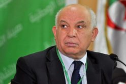 رحابي: عدم الترخيص لأحزاب البديل الديمقراطي انتهاك غير مقبول