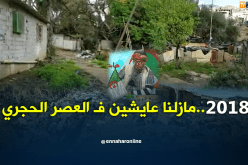 الشيخ النوي.. روسيكادا المسكينة..العصر الحجري في 2018