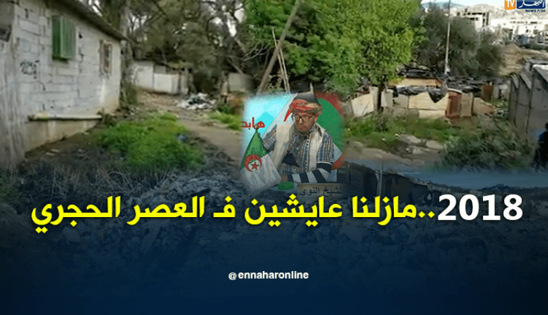 الشيخ النوي.. روسيكادا المسكينة..العصر الحجري في 2018